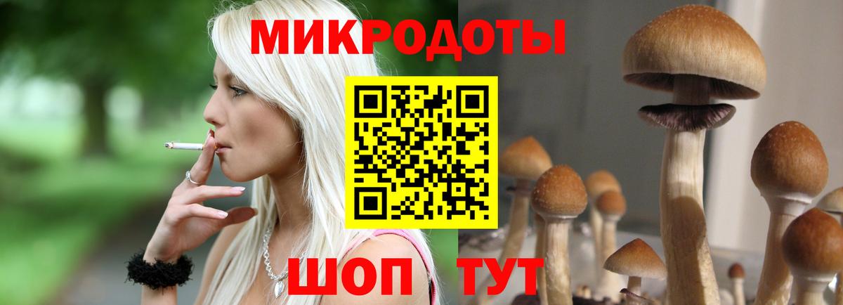 где купить   Галлюциногенные грибы Cubensis  Вход с VPN  Псилоцибиновые грибы Cubensis  Кольчугино 