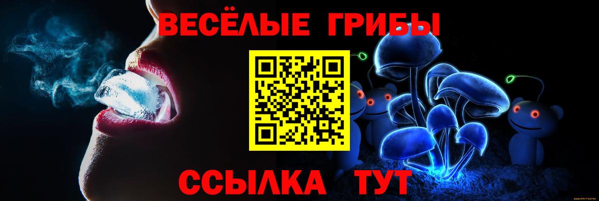 Галлюциногенные грибы мицелий Кольчугино